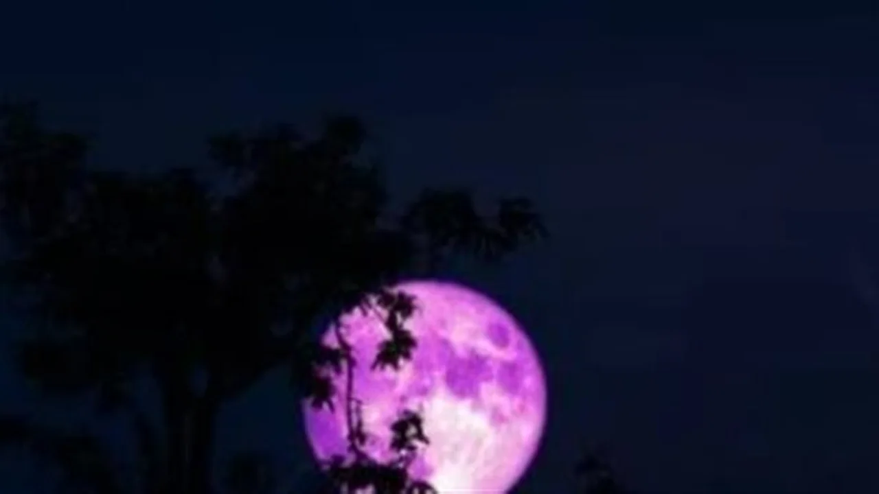 مشهد سماوي.. القمر الوردي يفتتح الموسم الفلكي الجديد بدلالات مدهشة وطقوس ربيعية